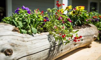 Hf-ep1168-product-log-planter