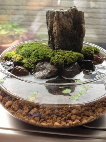 Awesome-indoor-water-garden-design-ideas