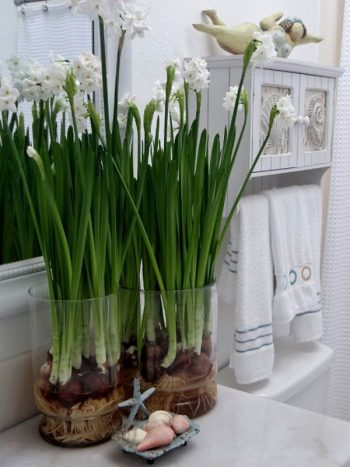 Chistmas-flower-water-garden-ideas