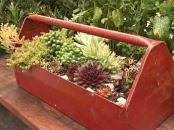 Gby1905_1a-succulent-toolbox_s4x3_lg-e1402424070568