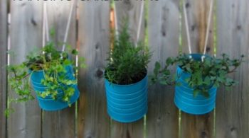 Hanging-flower-tins-e1402429169748