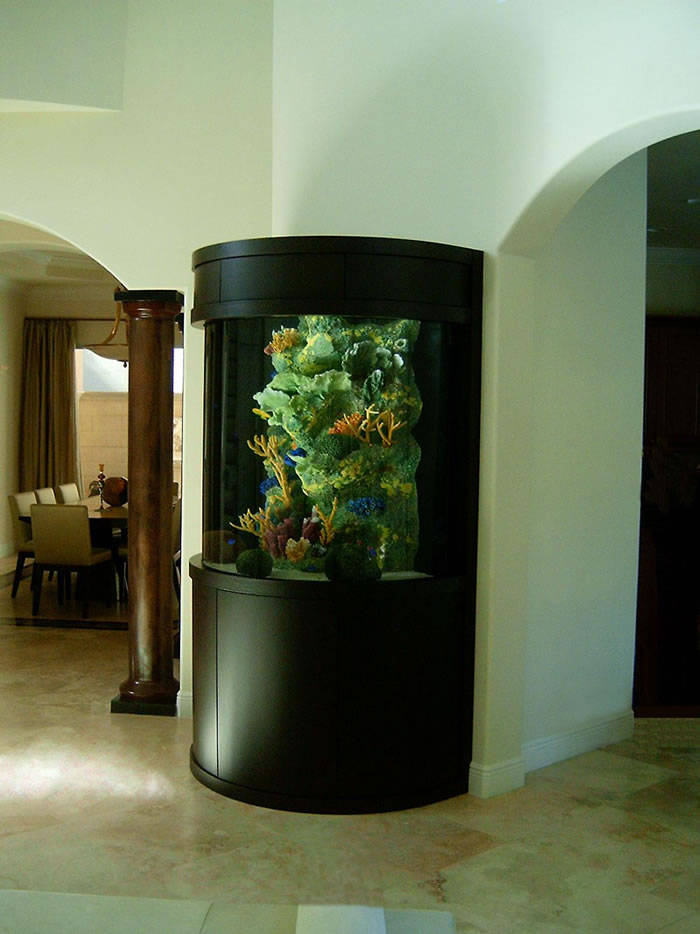 Home-improvement-delightful-fish-tank-designer-game-aquariums-types