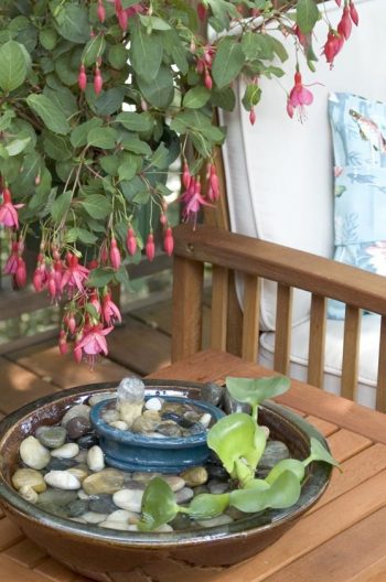Small-fountain-for-bird-bath