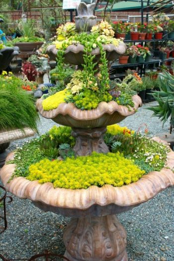 Succulent-fountain-e1402429679578