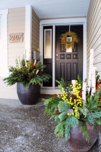 Traditional-entry-1