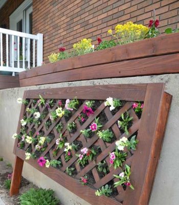 Vertical-flower-garden-idearoom