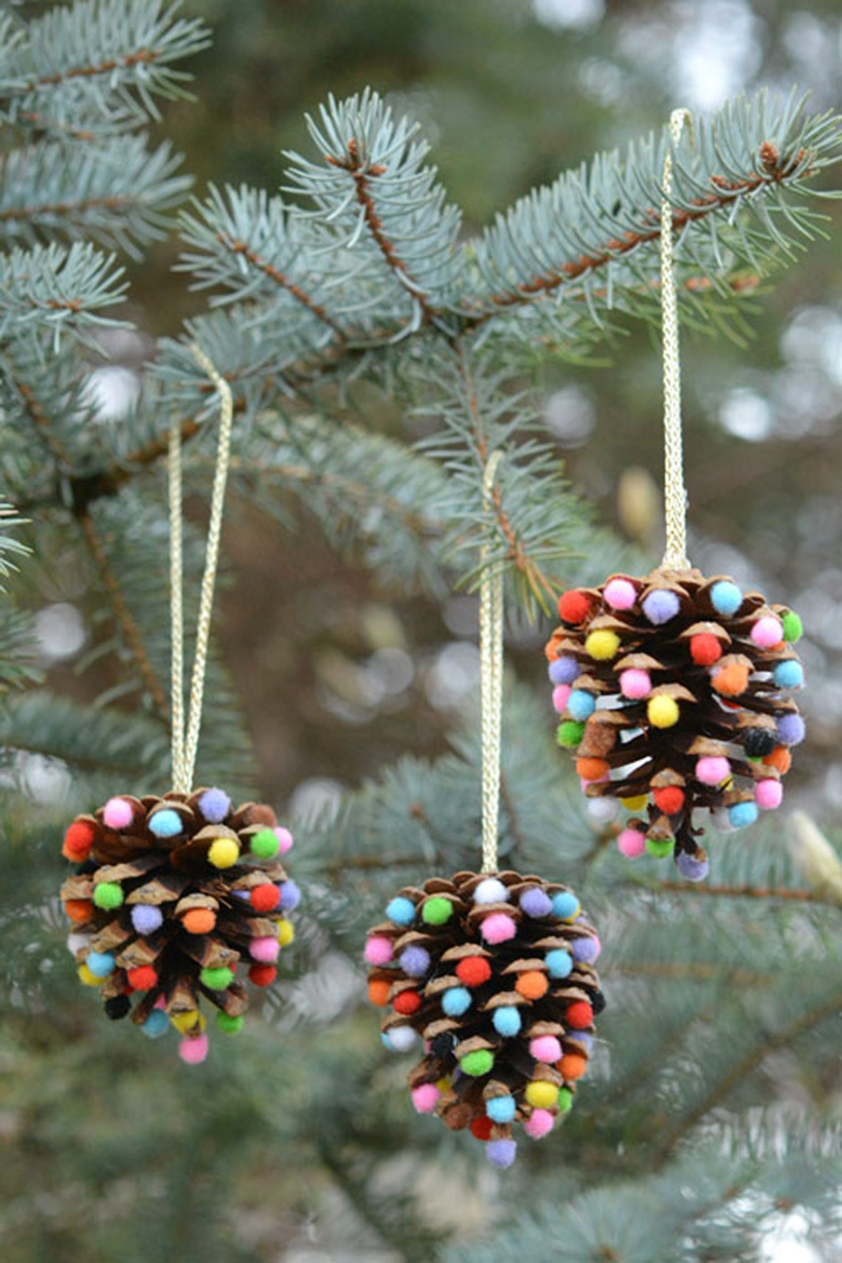 1512424222-pom-pom-pinecones
