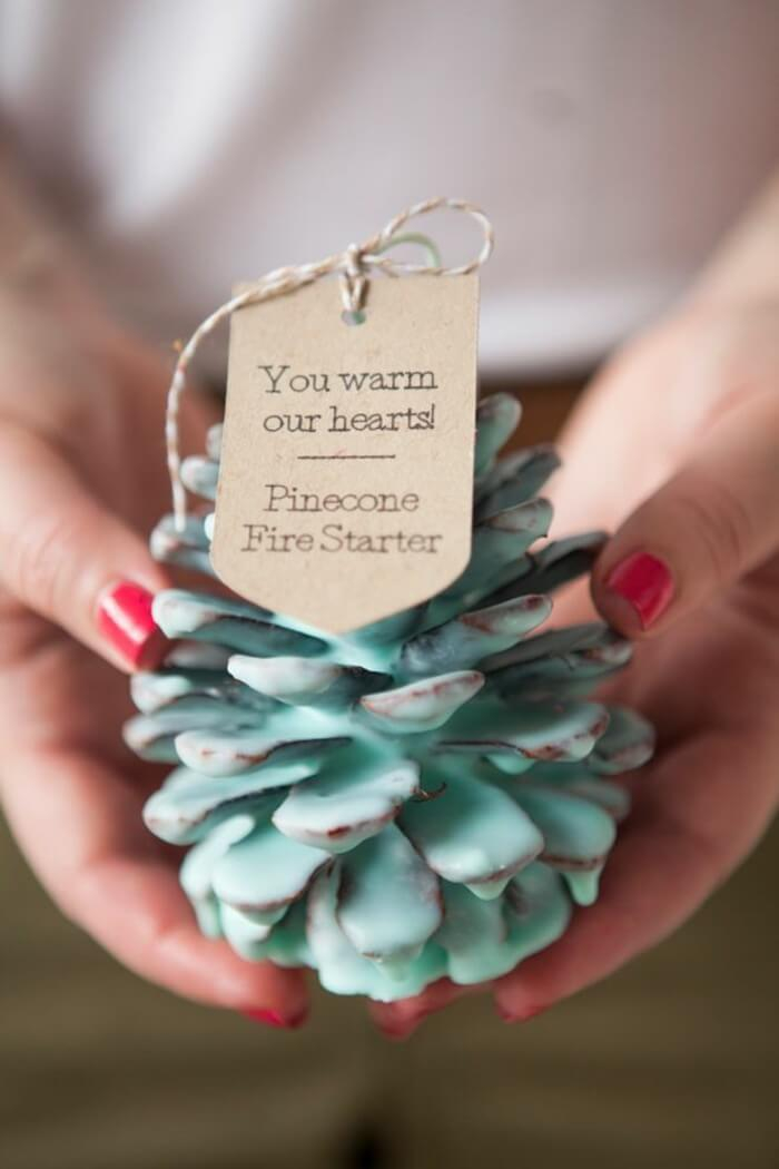 19-diy-pine-cone-crafts-ideas-homebnc