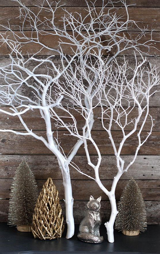 29.-manzanita-branch