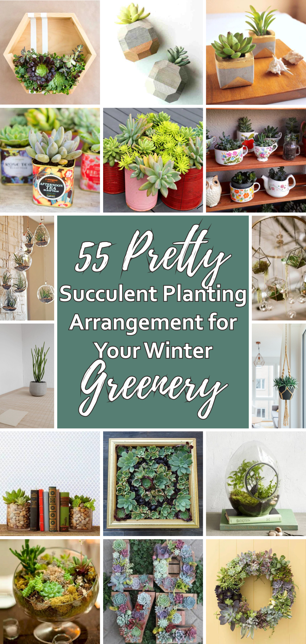 55 pretty succulent planting arrangement for your winter greenery 1