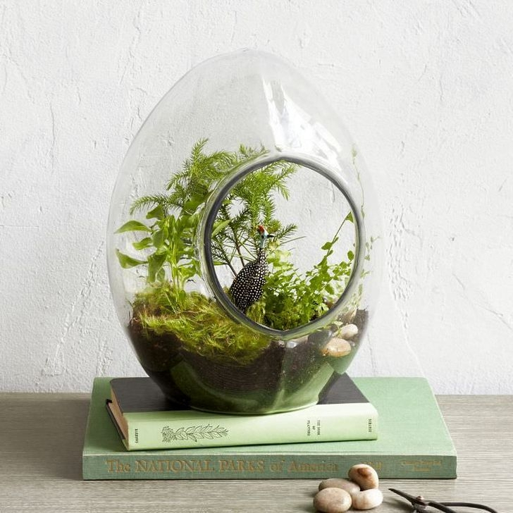 Creative-diy-succulent-ideas-for-your-garden-02
