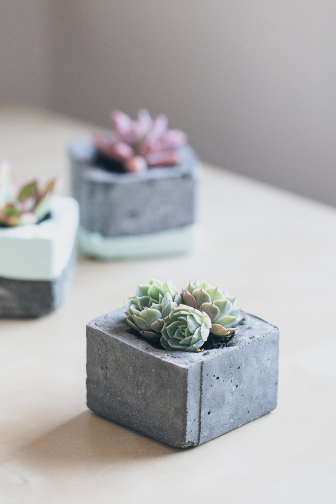 Diy-concrete-succulent-planters-10