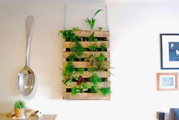 Peg_600118379_72094