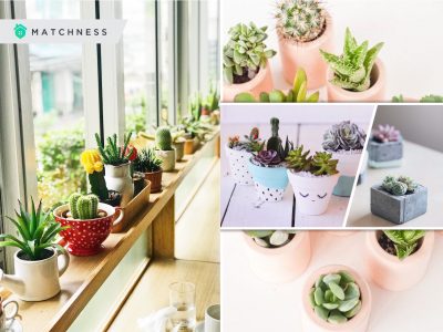 Pretty succulent planting arrangement for your winter greenery