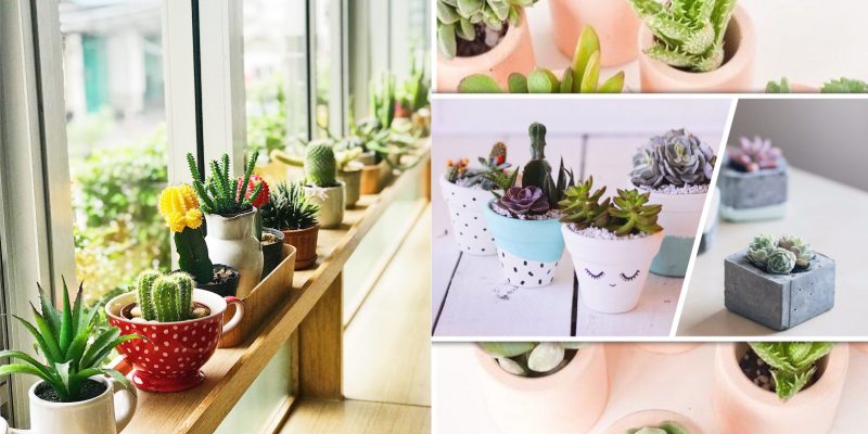 Pretty succulent planting arrangement for your winter greenery