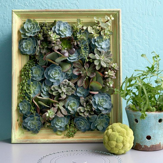 Succulent-picture-frame-10
