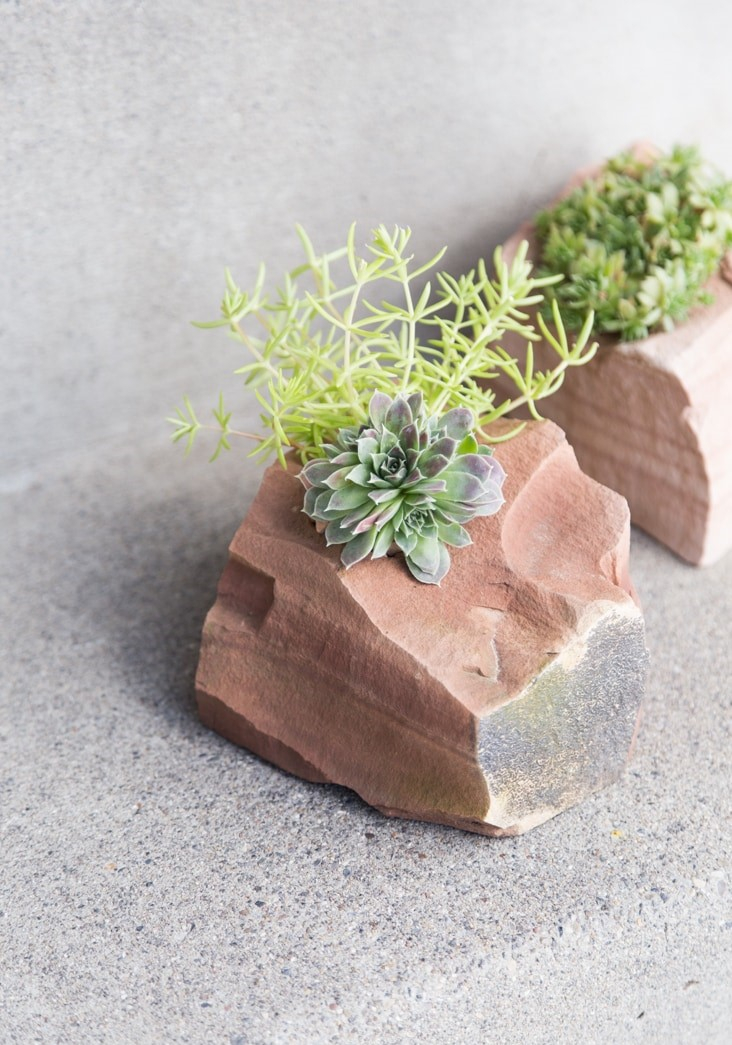 This-succulent-rock-garden-is-simply-stunning