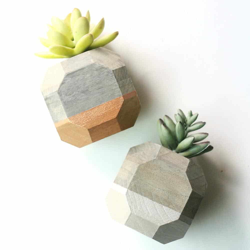 Adorable+succulents+arrangements+decor+ideas
