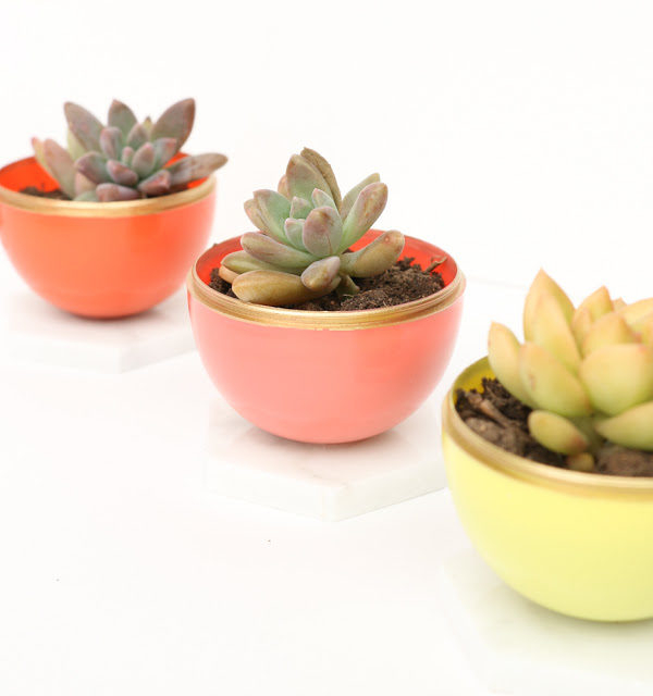 Eggsucculentplanters-18-600x640