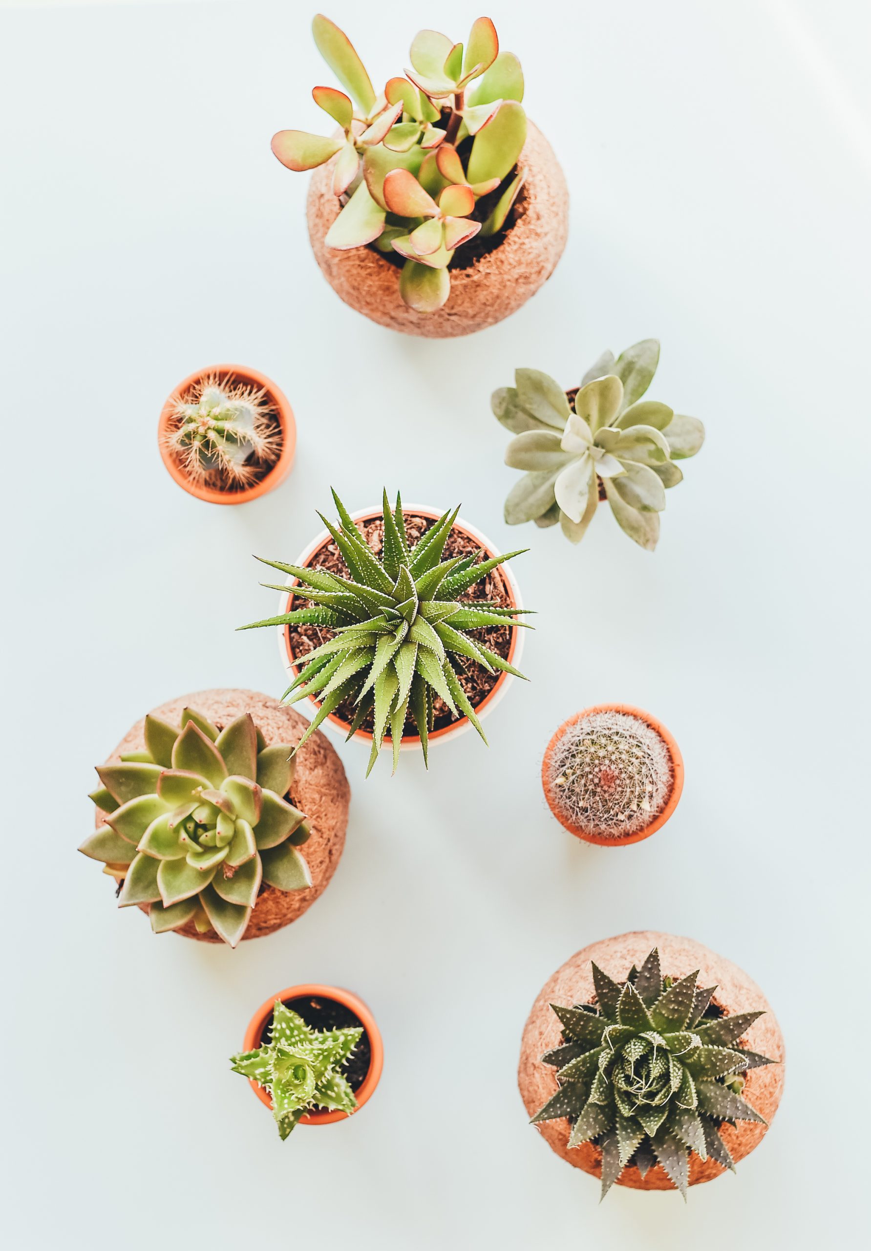 Faux+succulents+planter+arrangement