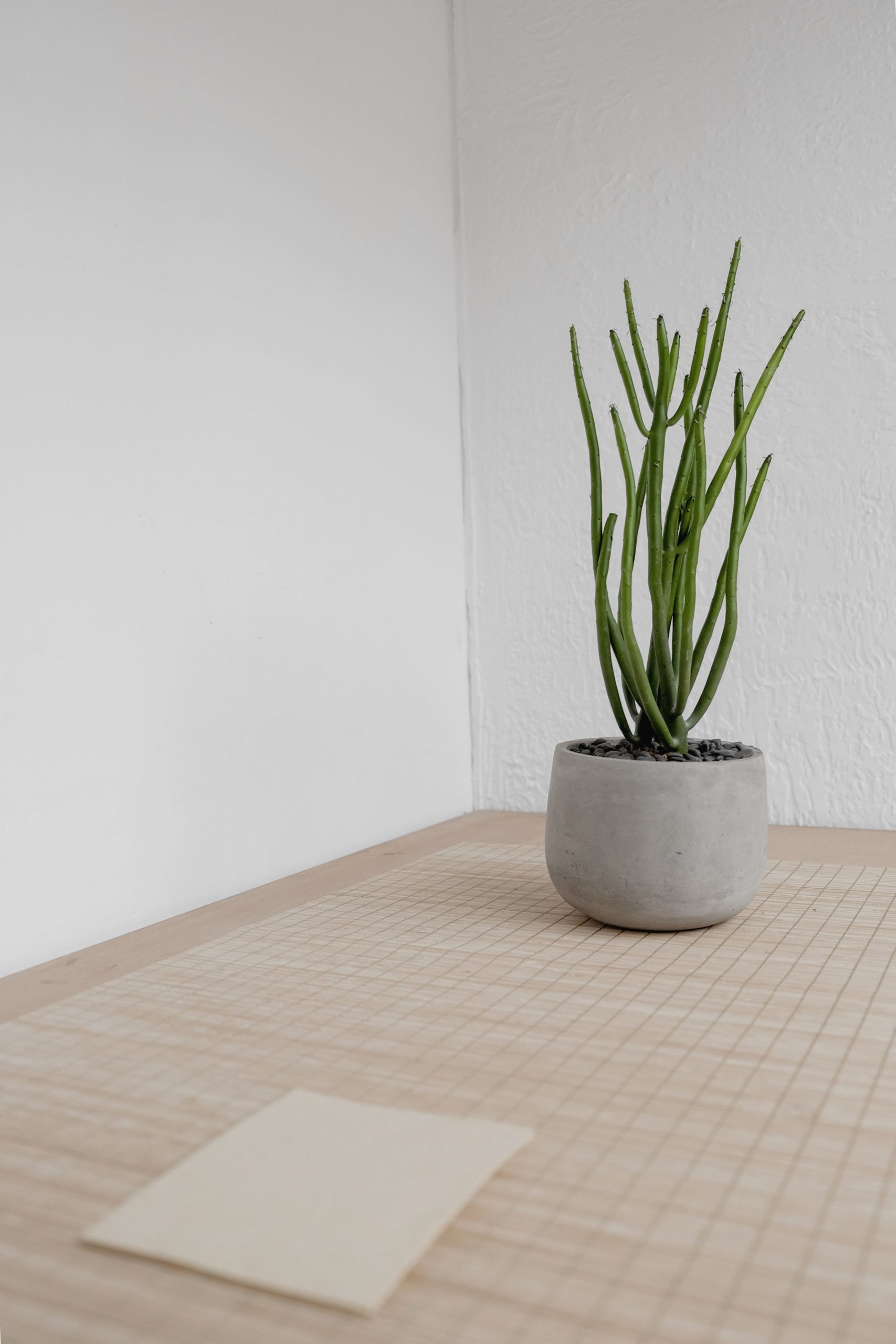 Image-asset