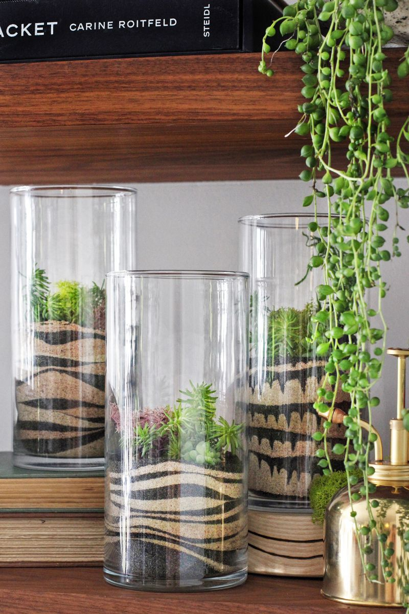 Sandterrarium1