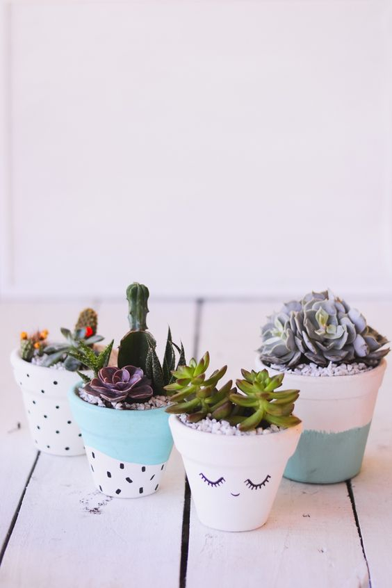 Succulent-plant-decor-idea-1