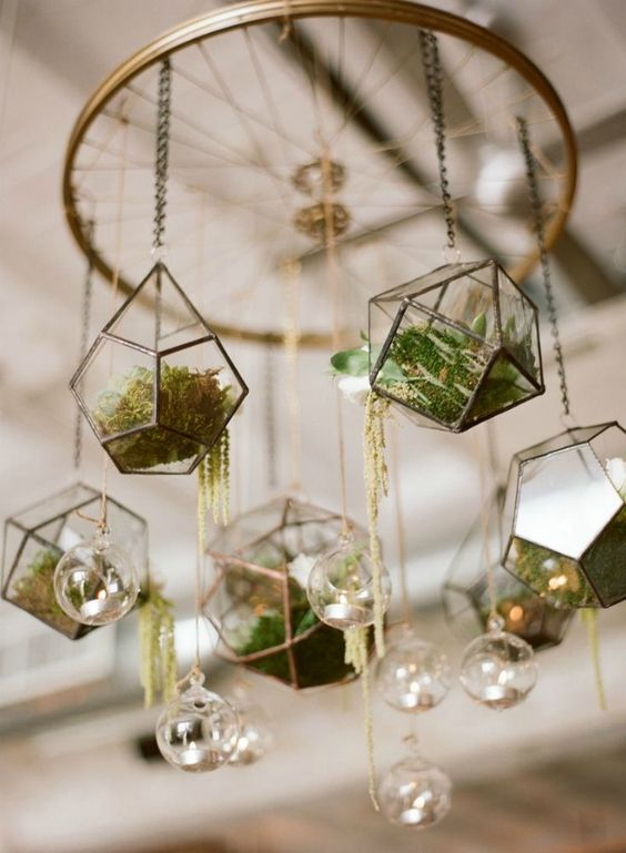 Succulent-plant-decor-idea-2