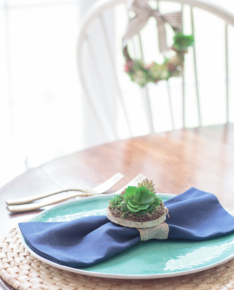 Succulents+display+for+a+center+piece+or+table