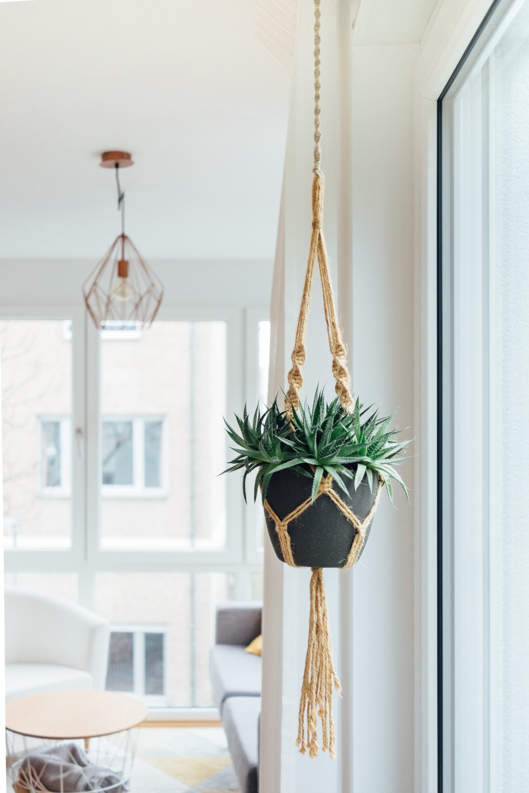 Succulents+hanging+diy