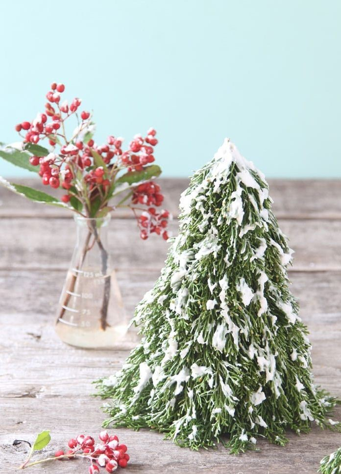 Xmas-1606945723