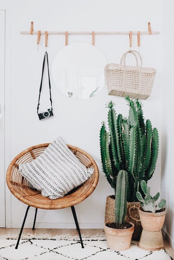 11-a-wood-and-leather-rack-a-woven-chair-cacti-and-succulents-in-terracotta-pots