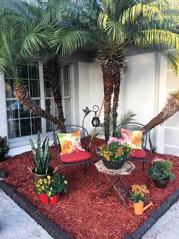 Amazing outdoor oasis