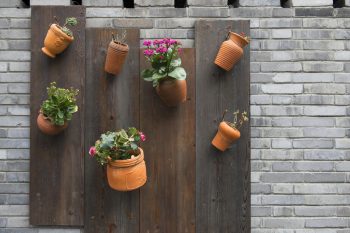 Artistic flower display