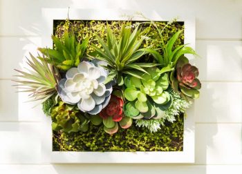 Balcony garden with wall planters