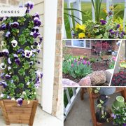 Cool garden ideas that will get your outdoor ready to welcome the lovely spring season fi