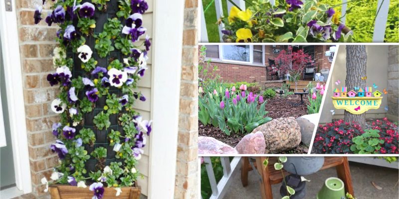 Cool garden ideas that will get your outdoor ready to welcome the lovely spring season fi
