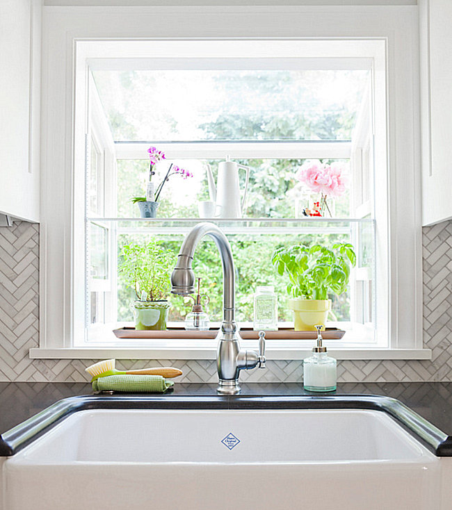 Crisp-fresh-greenhouse-window