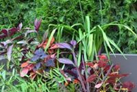Elegant terrace garden with daunting landscape design to welcome spring 4