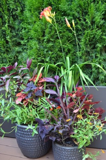 Elegant terrace garden with daunting landscape design to welcome spring 4