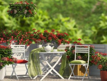 Fresh and cozy balcony area