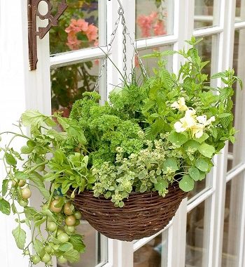 Hanging basket project