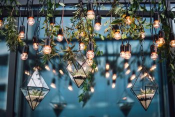 Hanging glass terrariums