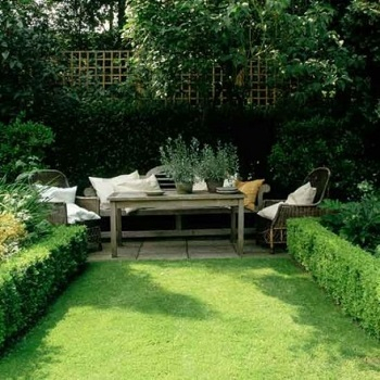 Hedge gardening Turn Your Small Space Into A Large Garden Area With These Genius Space-Savvy Solutions