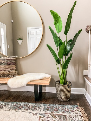 Insert greenery Captivating Entryway Ideas That Are Too Good To Be True