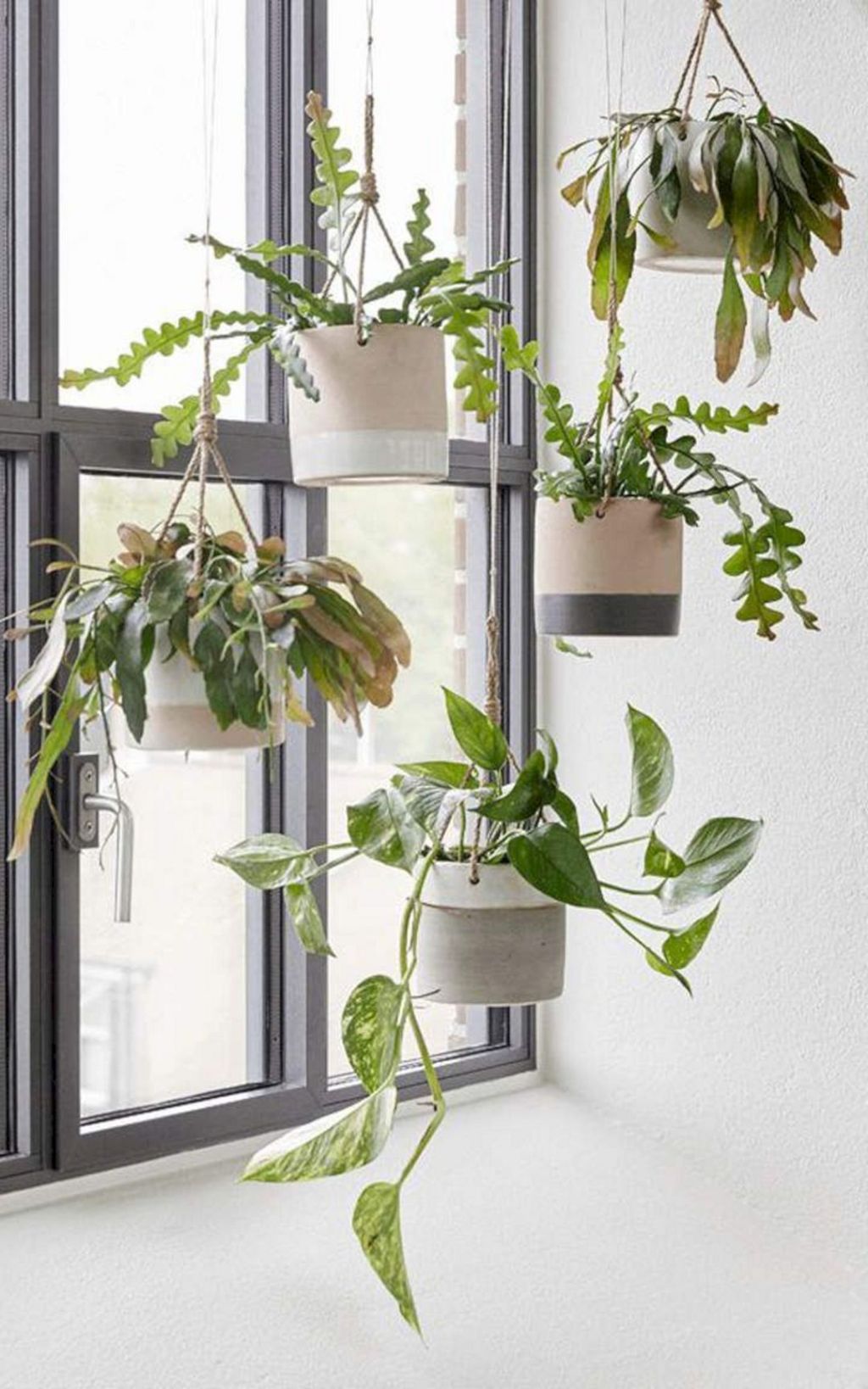 Marvelous-hanging-plants-ideas