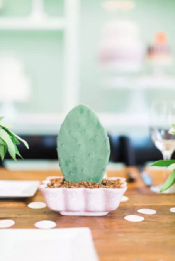 Mini cacti Delightful Spring Centerpiece Ideas To Welcome The Season This Year