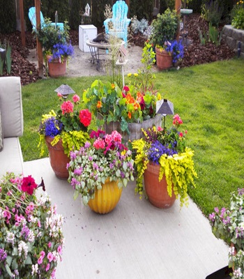 Mix plant gardens Turn Your Small Space Into A Large Garden Area With These Genius Space-Savvy Solutions