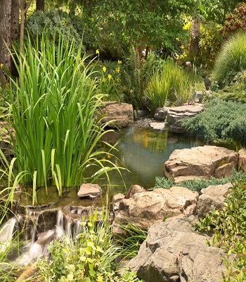 Pond, small waterfall and stream Innovative Landscape Ideas For Water Features To Create A New Look