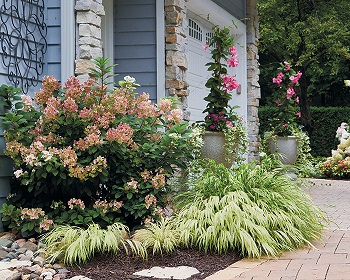 Pretty pink garden for an easy and elegant garden color theme 1